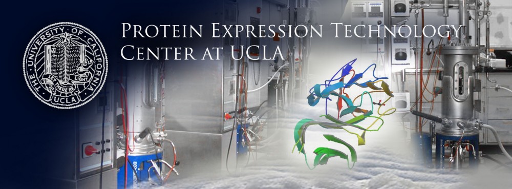 proteinExpressionBanner